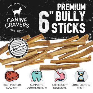 Premium Beef 6" Inch Bully Stick Pack of 10